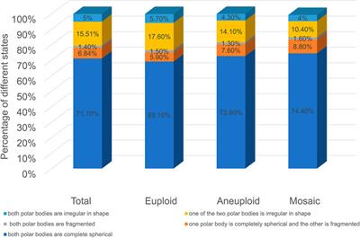 Correlation of the position and status of the polar body from the fertilized oocyte to the euploid status of blastocysts